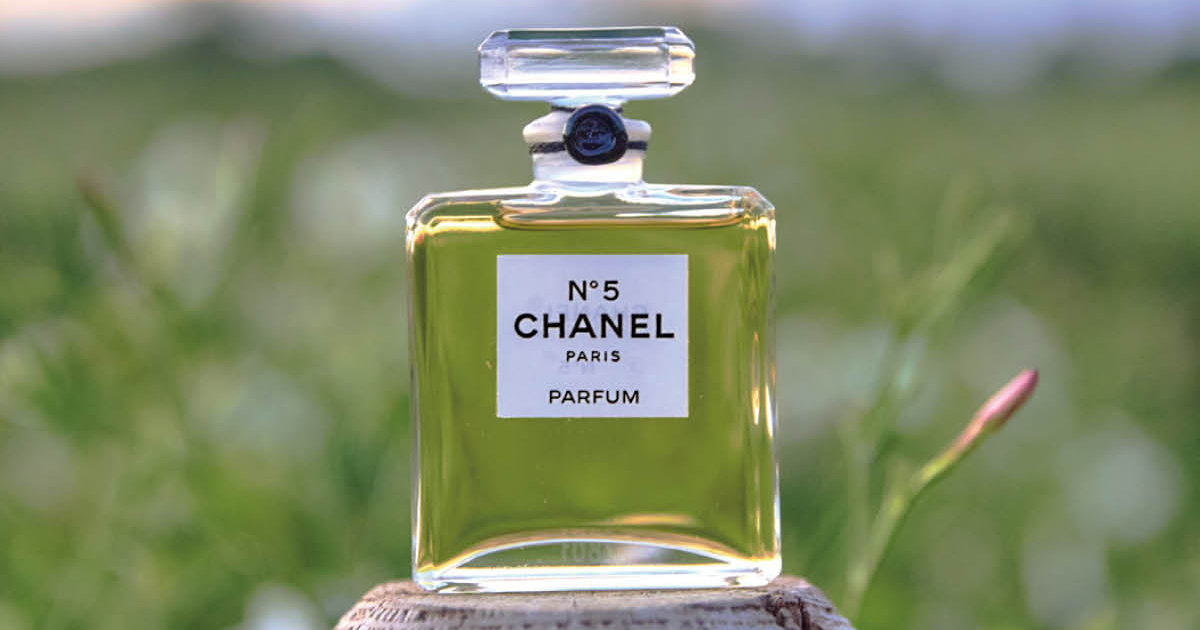 シャネル N°5】“星の花”ジャスミンが咲き誇るフランスの都市グラースへ