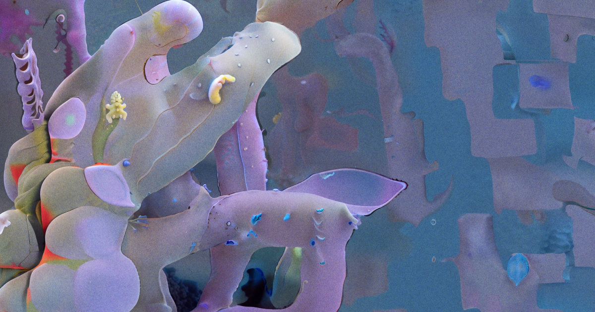 画像が削除されました