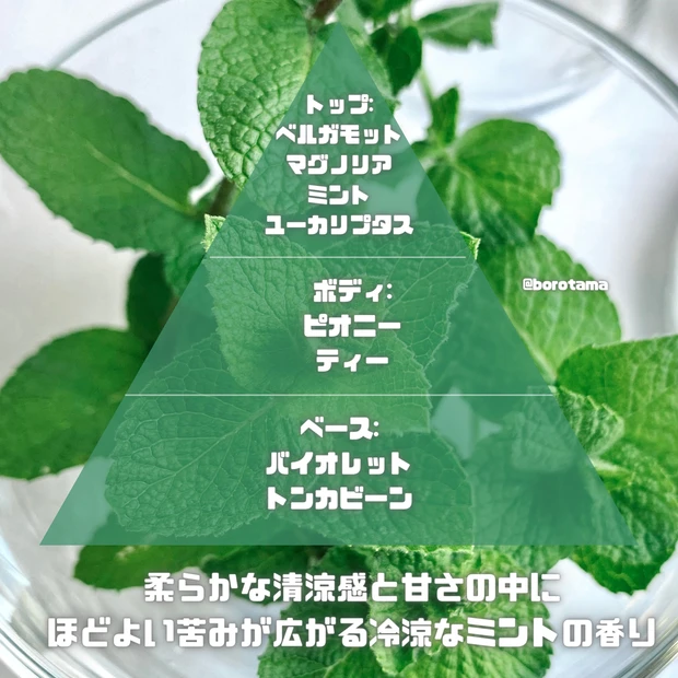 コーグ　KO-GU オードパルファムスペアミント 