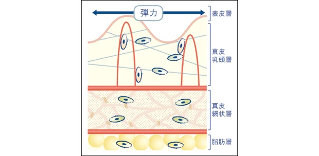 マキア　エイジングケア　おすすめ　オバジX　バイタライズ リフトクリーム　血管再生