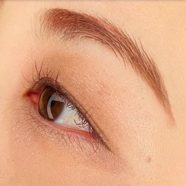 CEZANNE(セザンヌ)をスウォッチ！9月上旬発売、秋の新作をご紹介。【トーンアップアイシャドウ・超細芯アイブロウ・毛穴レスパウダー詰替】_3_2