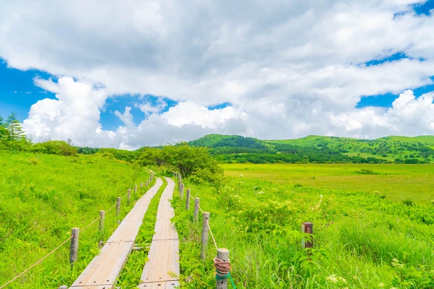 月山もも ひとリート ソロ登山 初心者 登山 半日 日帰り リトリート 長野 霧ヶ峰 ハイキング
