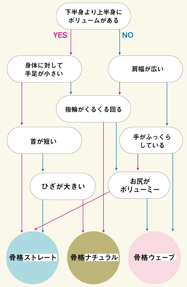 骨格診断