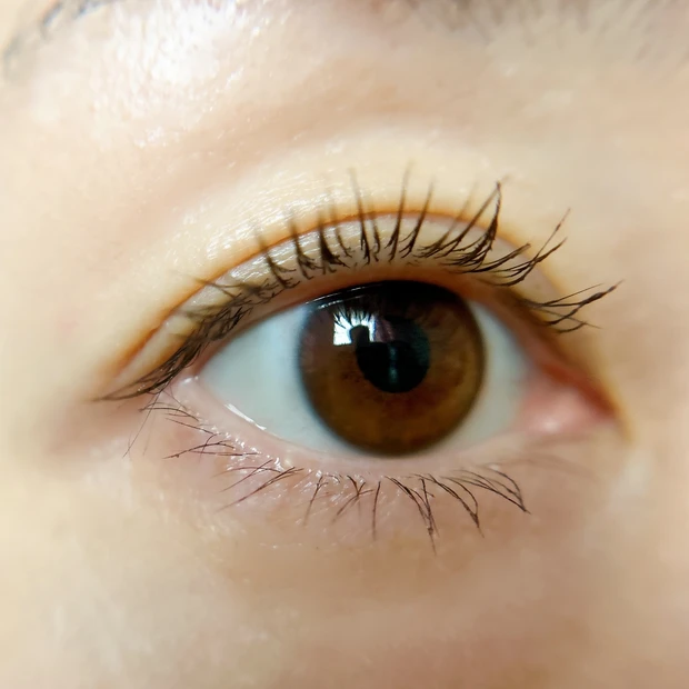 フジコ 麗しマスカラ スウォッチ