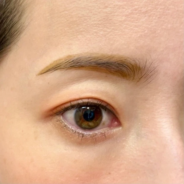 【汗・皮脂に強い眉毛の書き方】眉なし族の救世主！プチプラ フジコ書き足し眉ティントSV〜金曜夜のぶっちゃけ美容#14〜_5_1