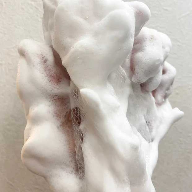 イニクス　iniks クリーミィフォーム　大人敏感肌　乾燥肌　大人ニキビ　洗顔　低刺激　株式会社マルホ