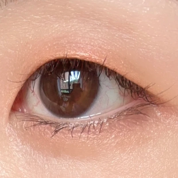 無印良品週間　おすすめ　2024