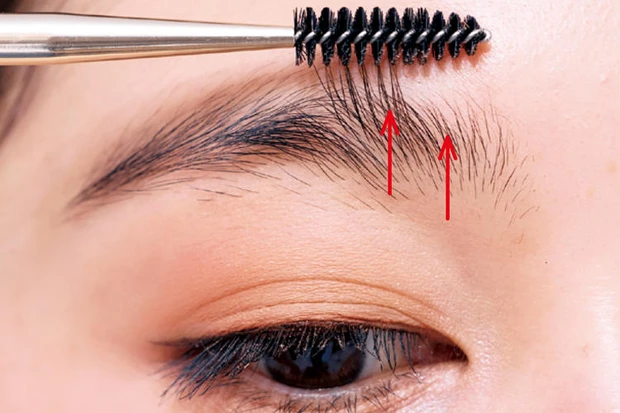 トレンド眉 「ふわゆるアーチ眉」の描き方 準備4