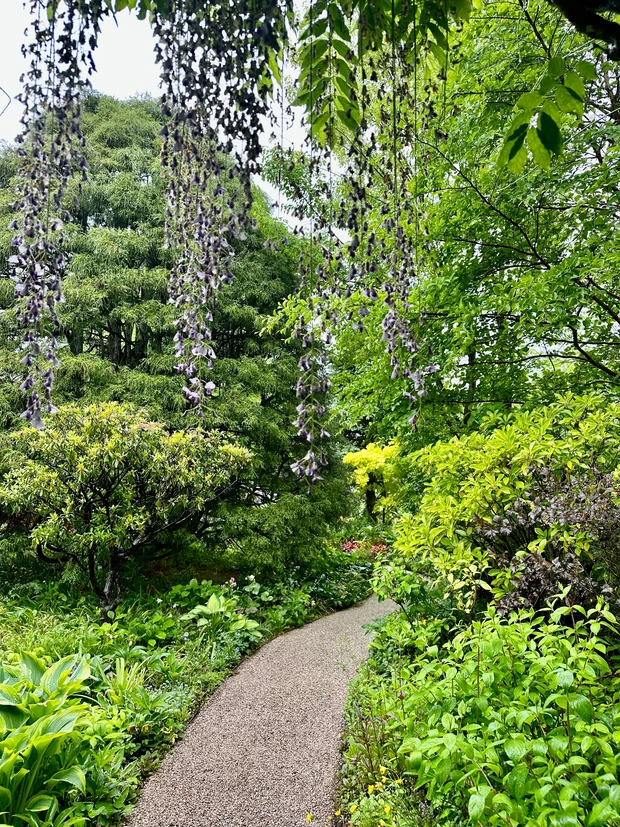 絵本の中にいるような美しい庭園「ラ・カスタ ナチュラル ヒーリング ガーデン」ブランド愛が高まる！！_7_2
