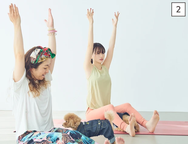 ドッグヨガ　杖のポーズからの前屈①