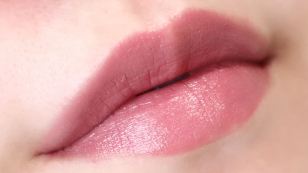 ヴィセ ネンマクフェイクルージュ PK851 わがままな肉球 着画