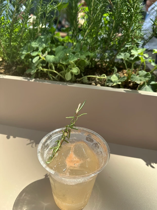 サマーガーデン