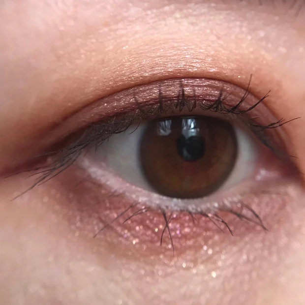 ADDICTION ザアイシャドウパレット008サウザンドロージズ