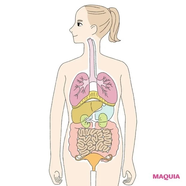 健康こそが最高の美容法♡ 内臓美容GALLERY