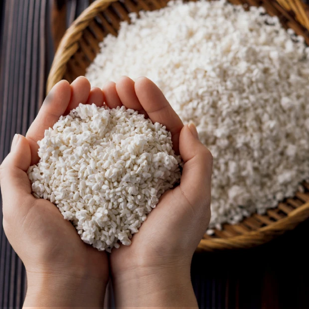 食べて良し、塗って良しの「発酵」の世界を深掘り。肌や体へのメリットを専門…