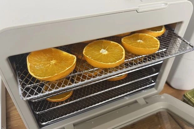 レコルト ドライフード＆ヨーグルトメーカー  口コミ