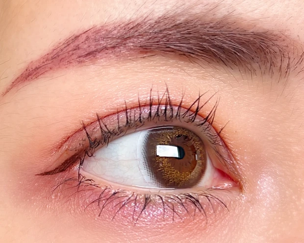 SUQQU　スック　夏コレ　シグニチャーカラーアイズ　デパコス　萌日向　ブルベ