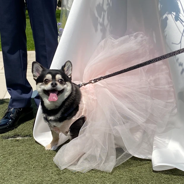 ウエディングもサスティナブル_2_1