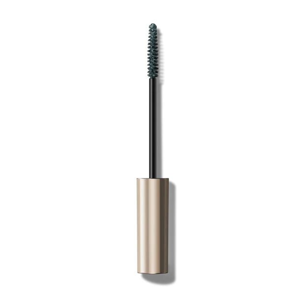 EX02 Forest Night(限定)