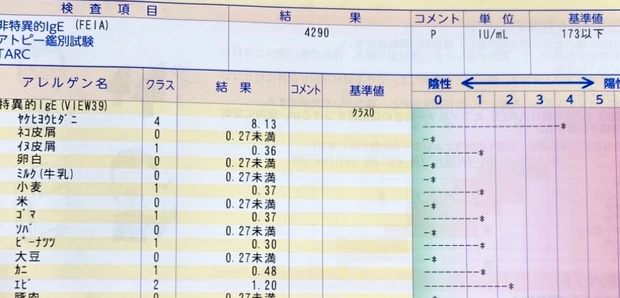 高輪和合クリニック　アレルギー検査　肥満遺伝子検査　高輪クリニック　腸内フローラ検査　フローラ検査　乳酸菌　ビフィズス菌　