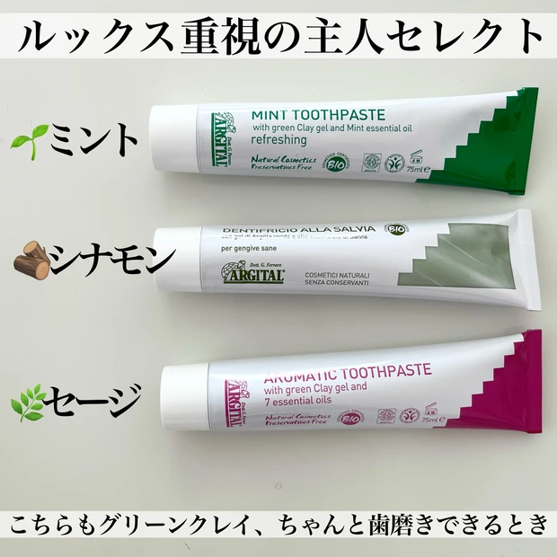 オーラルケア　デンタルケア　歯医者　矯正　歯列矯正　審美歯科　アラフォー　石澤研究所　毛穴撫子ちゃん　歯磨き