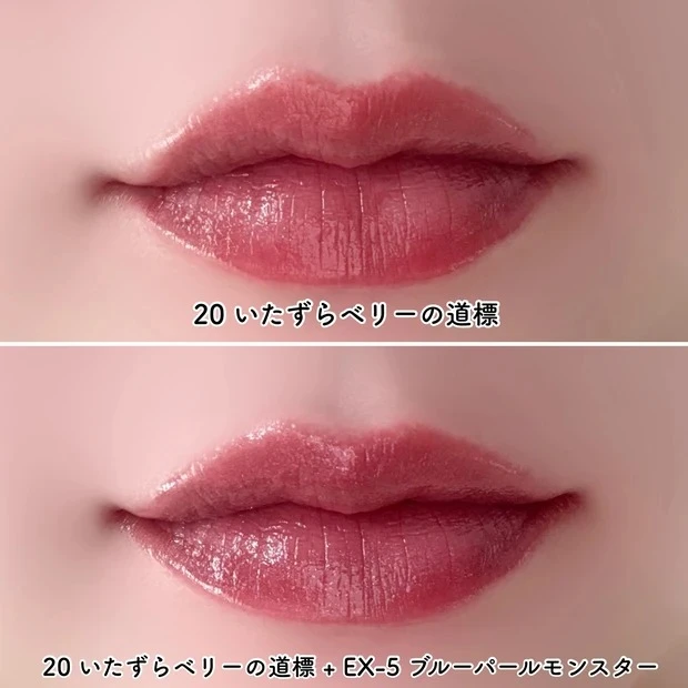 リップモンスター EX-5 ブルーパールモンスター 20 いたずらベリーの道標