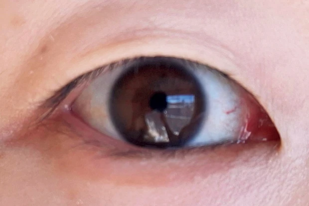 落ちない ルミアグラス スキルレスライナーをお試し