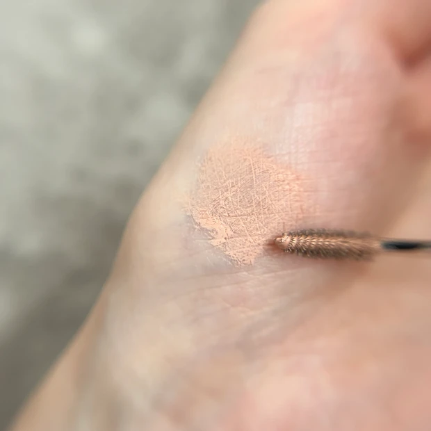 コンシーラーブログマスカラ スウォッチ