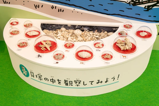 楽しい、きれい、おいしい！訪れる価値があるスキンケア工場見学　ナチュの森北海道（1）_8_2