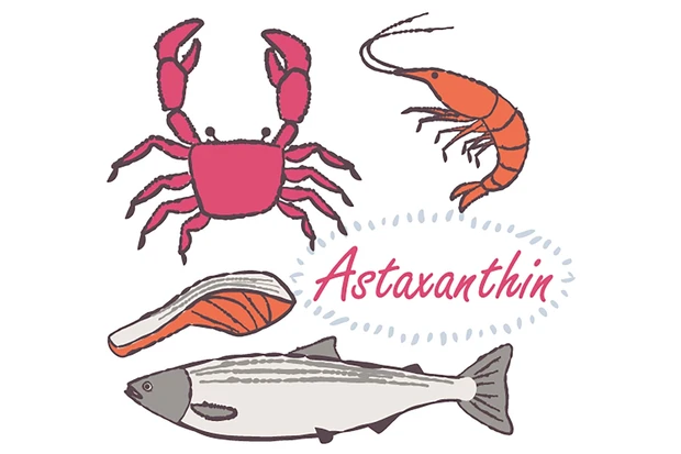 アスタキサンチンが含まれている食品を表現したイラスト