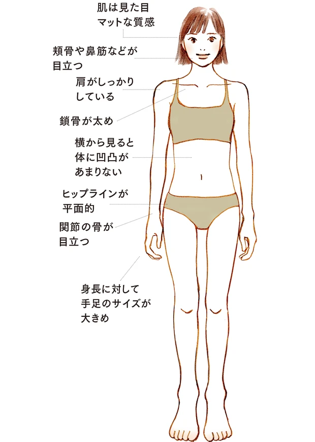 肌は見た目マットな質感／頬骨や鼻筋などが目立つ／肩がしっかりしている／鎖骨が太め／横から見ると体に凹凸があまりない／ヒップラインが平面的／関節の骨が目立つ／身長に対して手足のサイズが大きめ