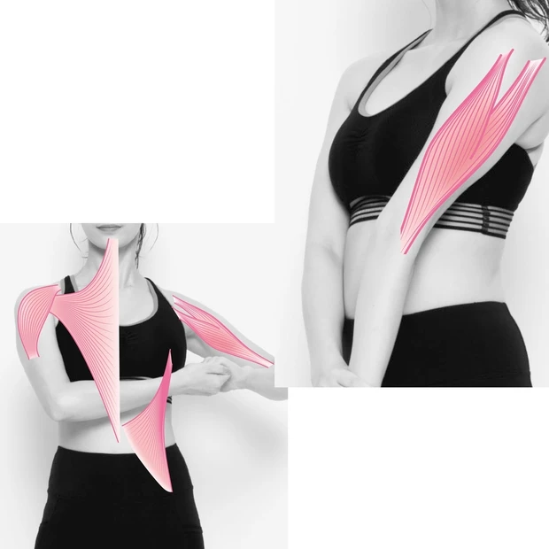 ぷにぷに二の腕をスッキリ！ すき間時間にできる、道具いらずの“さりげな筋…