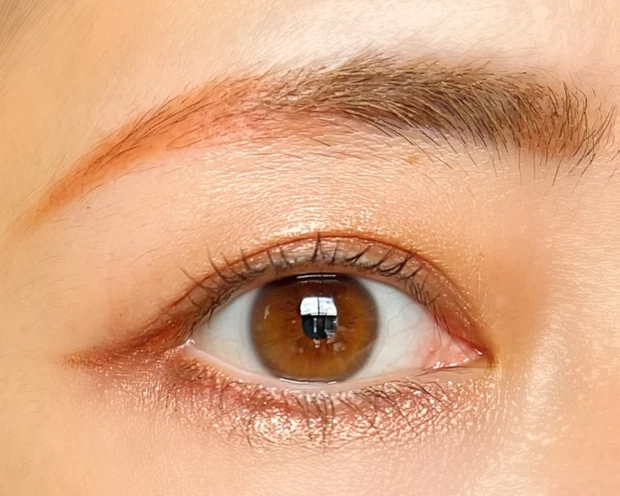 CANMAKE キャンメイク プティパレットアイズ アマンドブリュレ