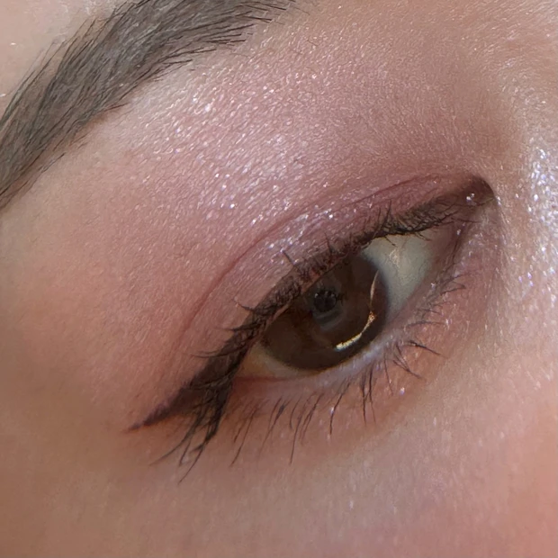 【プチプラ⭐︎キスミーフェルム】限定アイシャドウ デューイーピンクレビュー【大人かわいい】_3_3