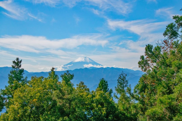 月山もも ひとリート ソロ登山 初心者 登山 半日 日帰り リトリート 郊外 東京都 八王子 景信山 山頂 絶景