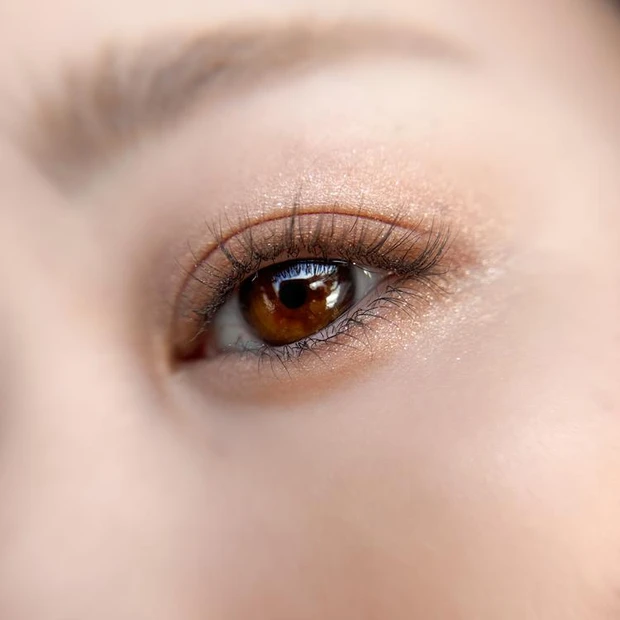 セザンヌ　アイシャドウ　ライティングアップアイシャシャドウ　イエベ　01 ロイヤルベージュ　Riho　着用画像