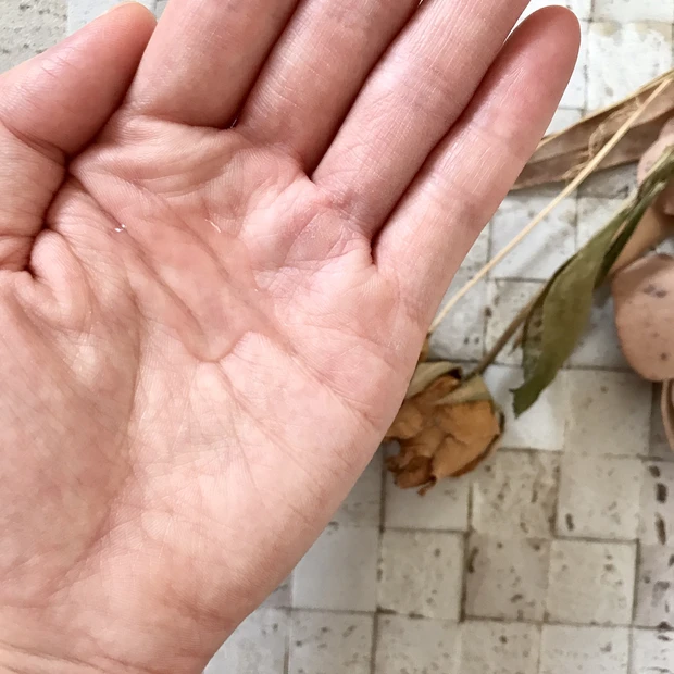 【乾燥肌さんオススメ】数年間雨が降らなくても枯れないと言われる木「アルガン」の実から抽出したオイル_2
