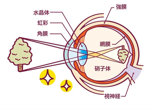 物が見えるしくみ