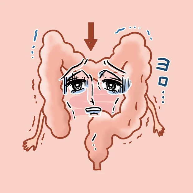 あなたの腸はどんな状態？ 【下がり腸タイプ】診断