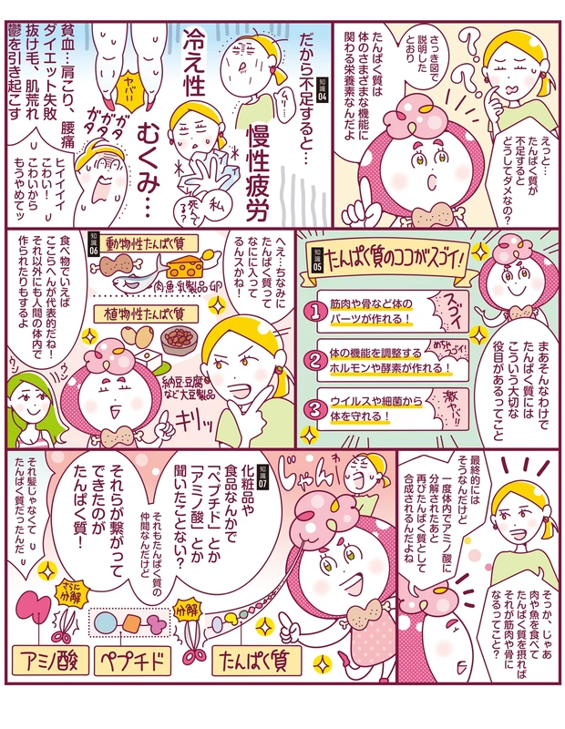 たんぱく質の知識を深めよう