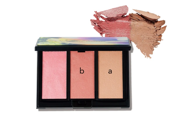 アディクションのホリデーアディクション ブラッシュパレット“アンノウン ファミリア” 101