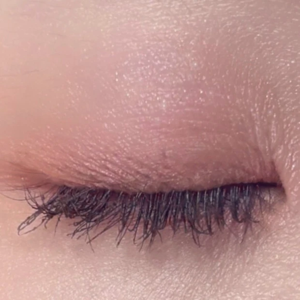 スック アイシャドウ イエベ