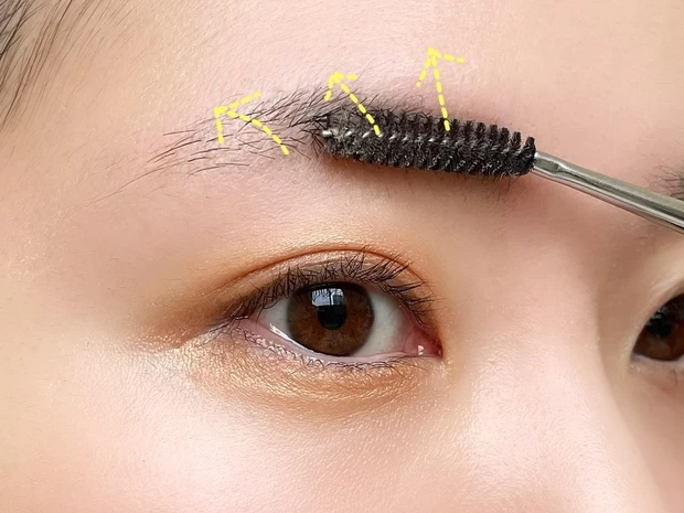 垢抜け眉毛の書き方　2.眉毛の毛並みを整える