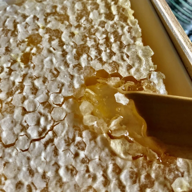 HACCIの木箱の中は巣蜜(コームハニー)贈り物にインパクト大。