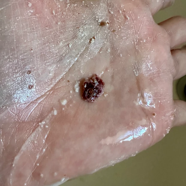 クランベリー&アーモンド★数量限定LUSH クリスマスの食卓_4_1