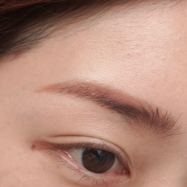 ADDICTION アディクション プレスド デュオ アイブロウ 006 Berry Duo ベリーデュオ 垢抜けメイク 眉