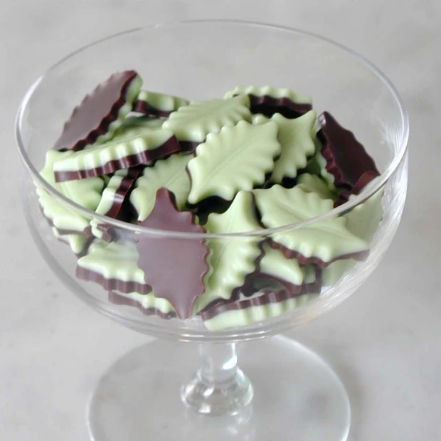 クックパッド広報 木村真依さんが選ぶ、もらってうれしい！ 絶品おもたせ【…