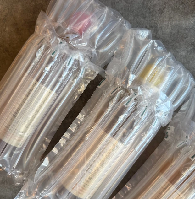 こじはる ・さっしー紹介！搾りたてごま油が美容通に話題！中部市場『忠北製油所』へ行ってみた_8_1