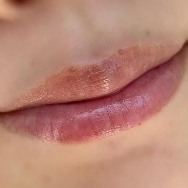 【田中みな実 オバジ リップ】仕上がり