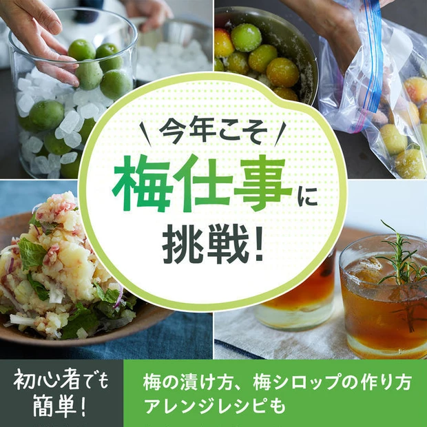 【1位】【ワタナベマキさん直伝】梅シロップの作り方や梅干しの漬け方、アレンジレシピなど。梅の美容効果も